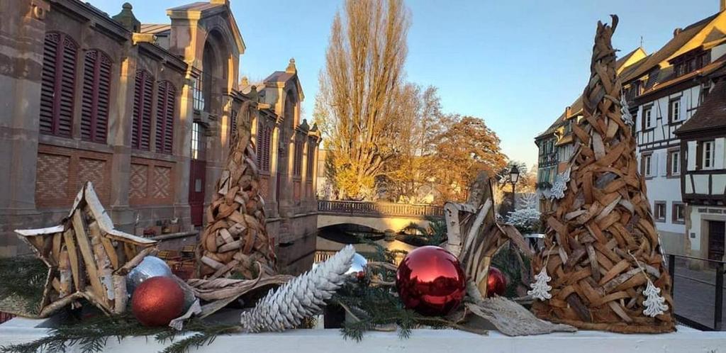 Le St Josse Gite Tout Confort A Colmar Kültér fotó
